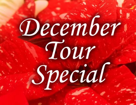 SV December 2024 Tour Special