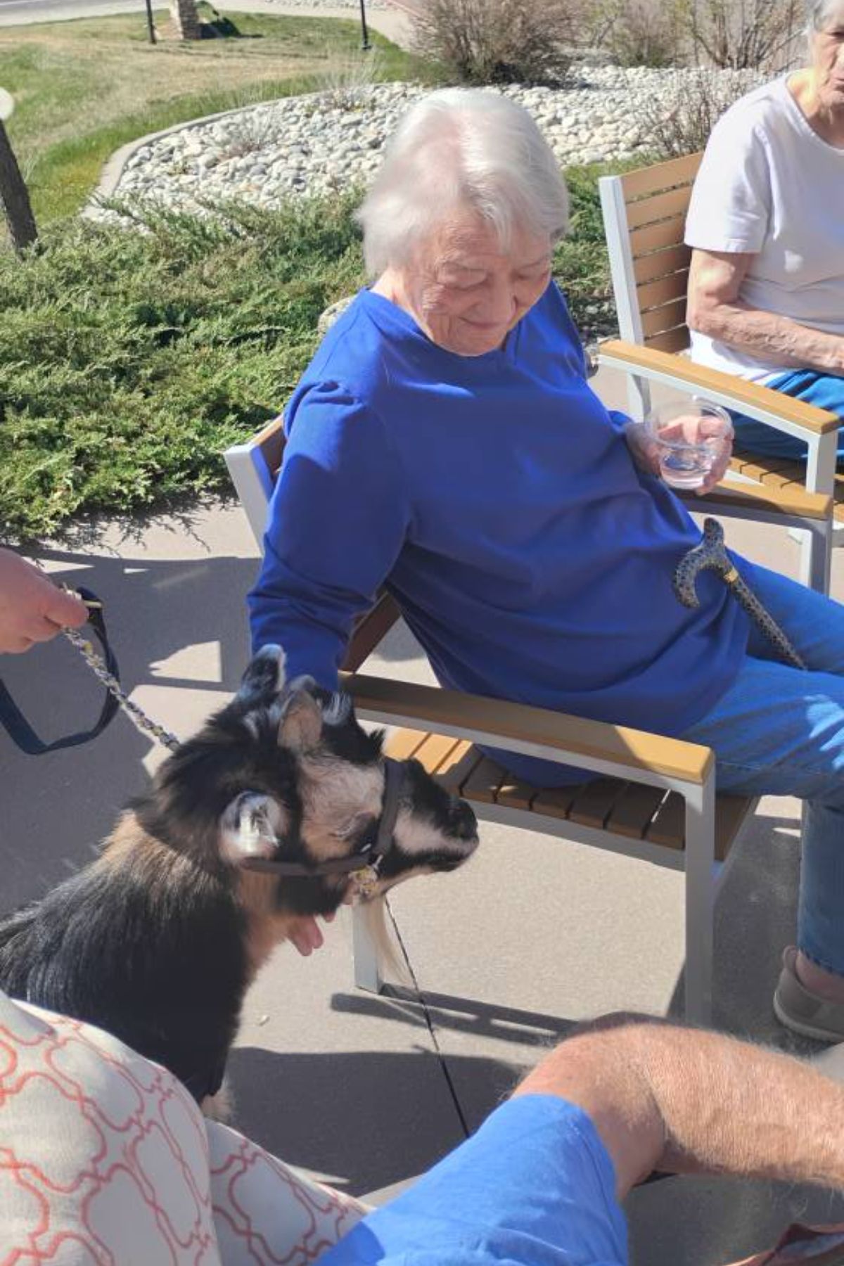 Sunny Vista Senior Living Community in Colorado Springs, CO - the retreat resident with goat2 portrait