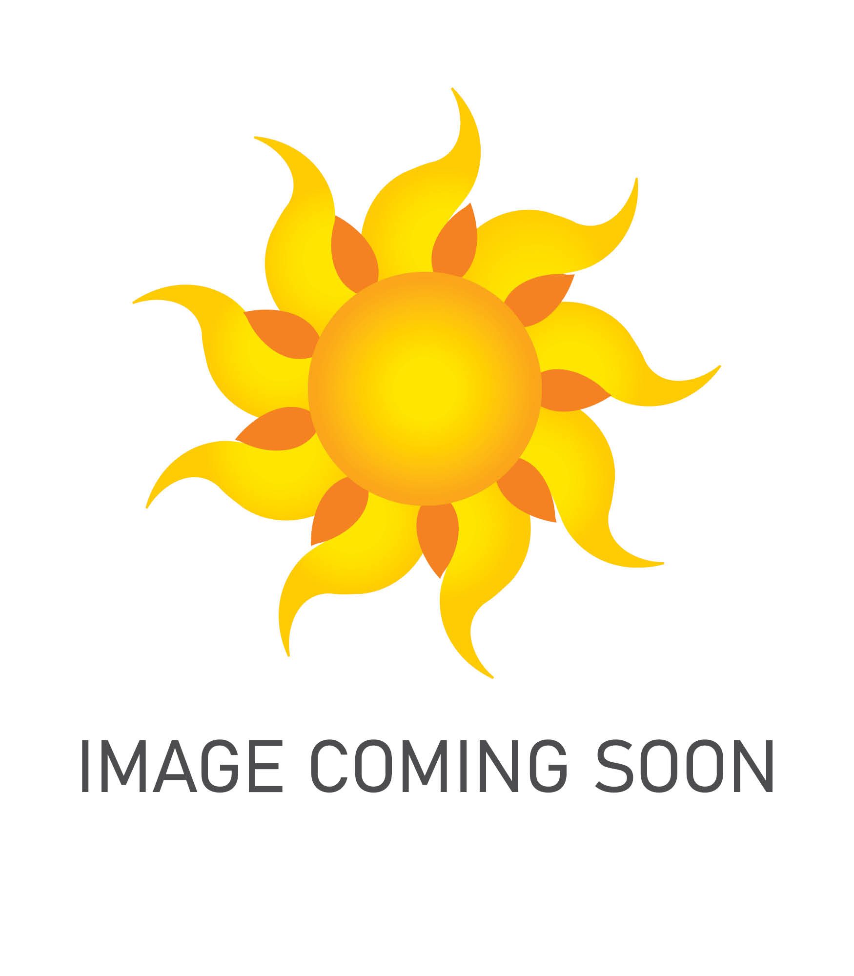 Sunny Vista Senior Living Community in Colorado Springs, CO - image coming soon square