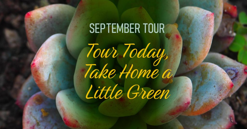 Sunny Vista Senior Living Community in Colorado Springs, CO - rsv sept tour special 2026